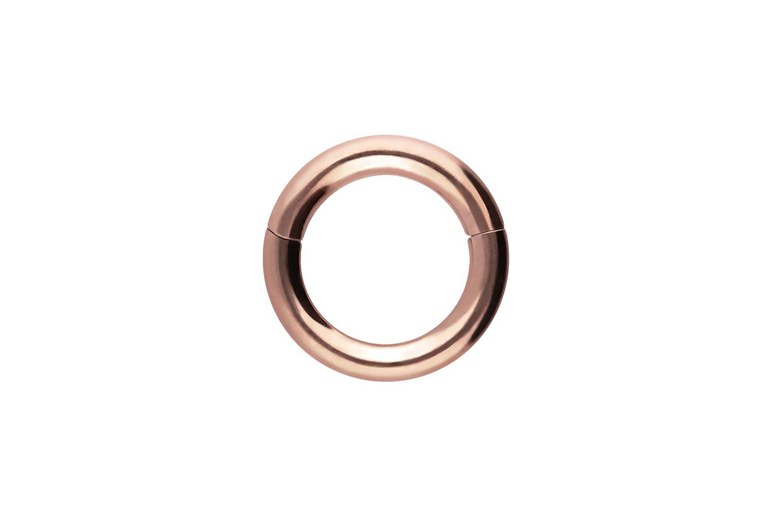 Titan Segmentring Clicker Piercing